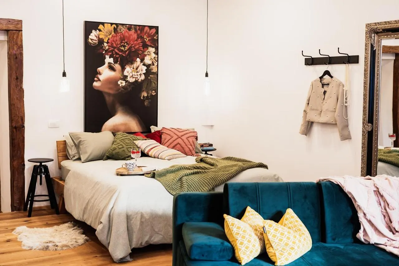 Hercules Strict City Centre Studio Apartment Ljubljana