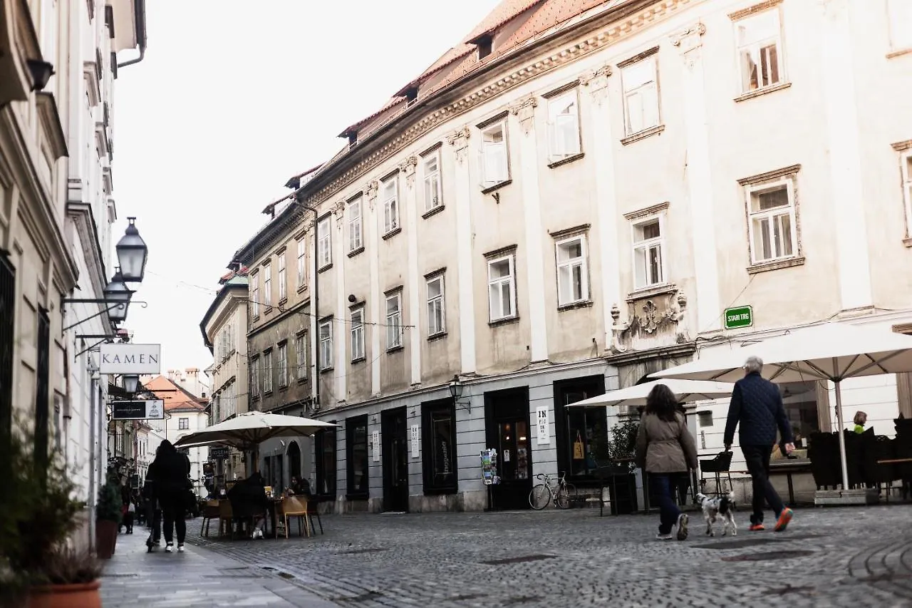 Hercules Strict City Centre Studio Apartment Ljubljana