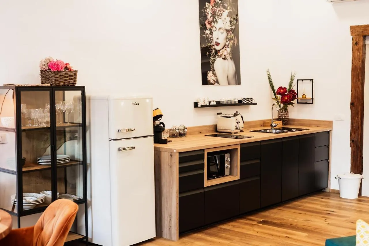 Hercules Strict City Centre Studio Apartment Ljubljana Slovenia